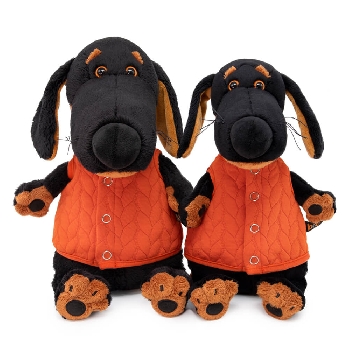 в жилете с косами