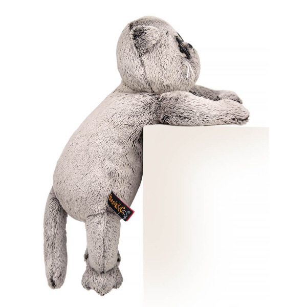 Кот Басик в очках