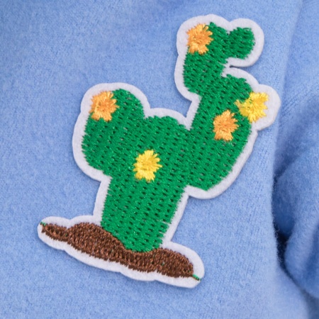 в толстовке