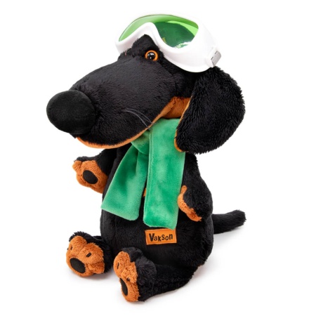 в горнолыжных очках