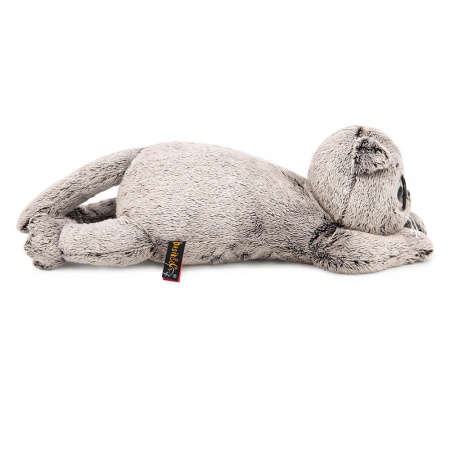 Кот Басик в очках