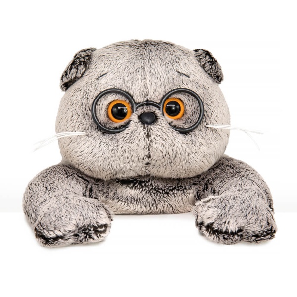 Кот Басик в очках