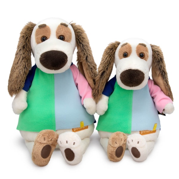 в разноцветной футболке | БУДИ БАСА в разноцветной футболке