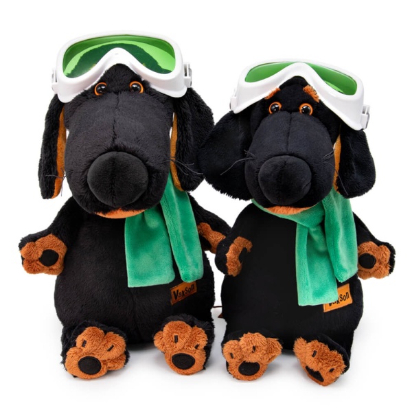 в горнолыжных очках | БУДИ БАСА в горнолыжных очках