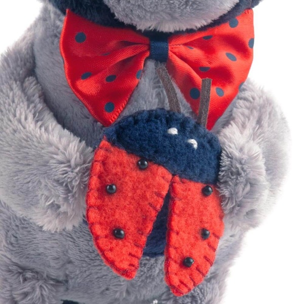 Енот Лёка с божьей коровкой