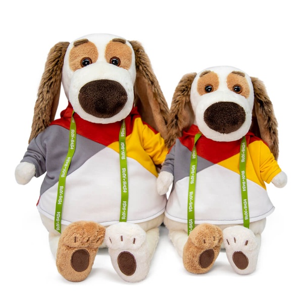 в разноцветной толстовке | БУДИ БАСА в разноцветной толстовке