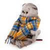 Кот Басик в шарфе в клеточку «Мультсериал»