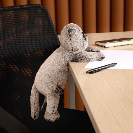 Кот Басик в очках