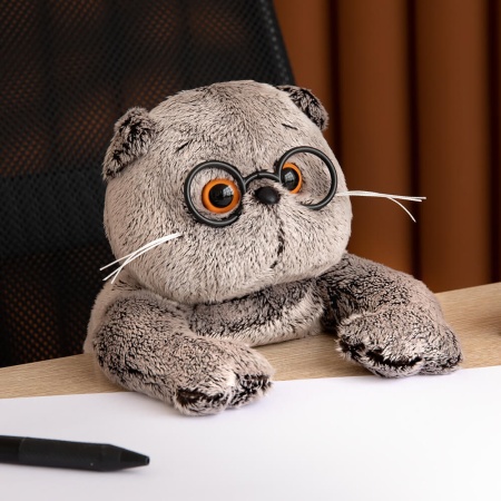 Кот Басик в очках