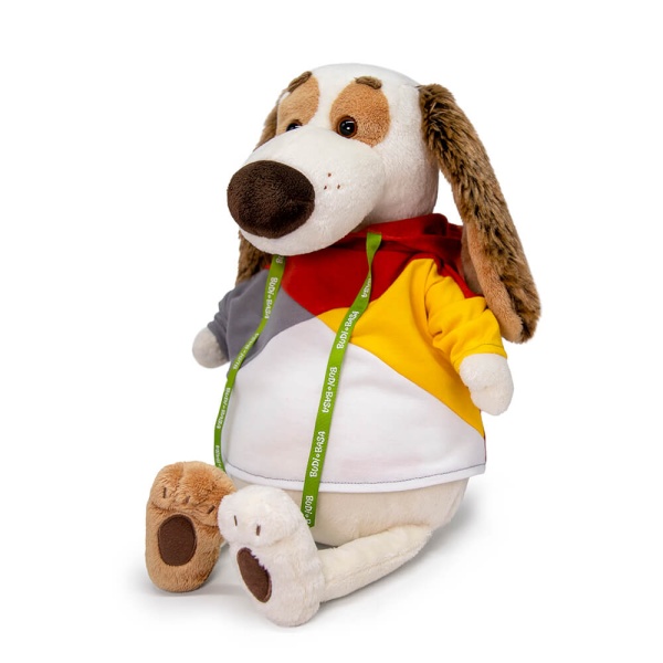 в разноцветной толстовке | БУДИ БАСА в разноцветной толстовке