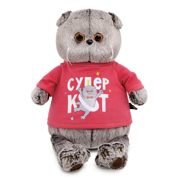 Басик в лонгсливе с принтом "Супер кот"